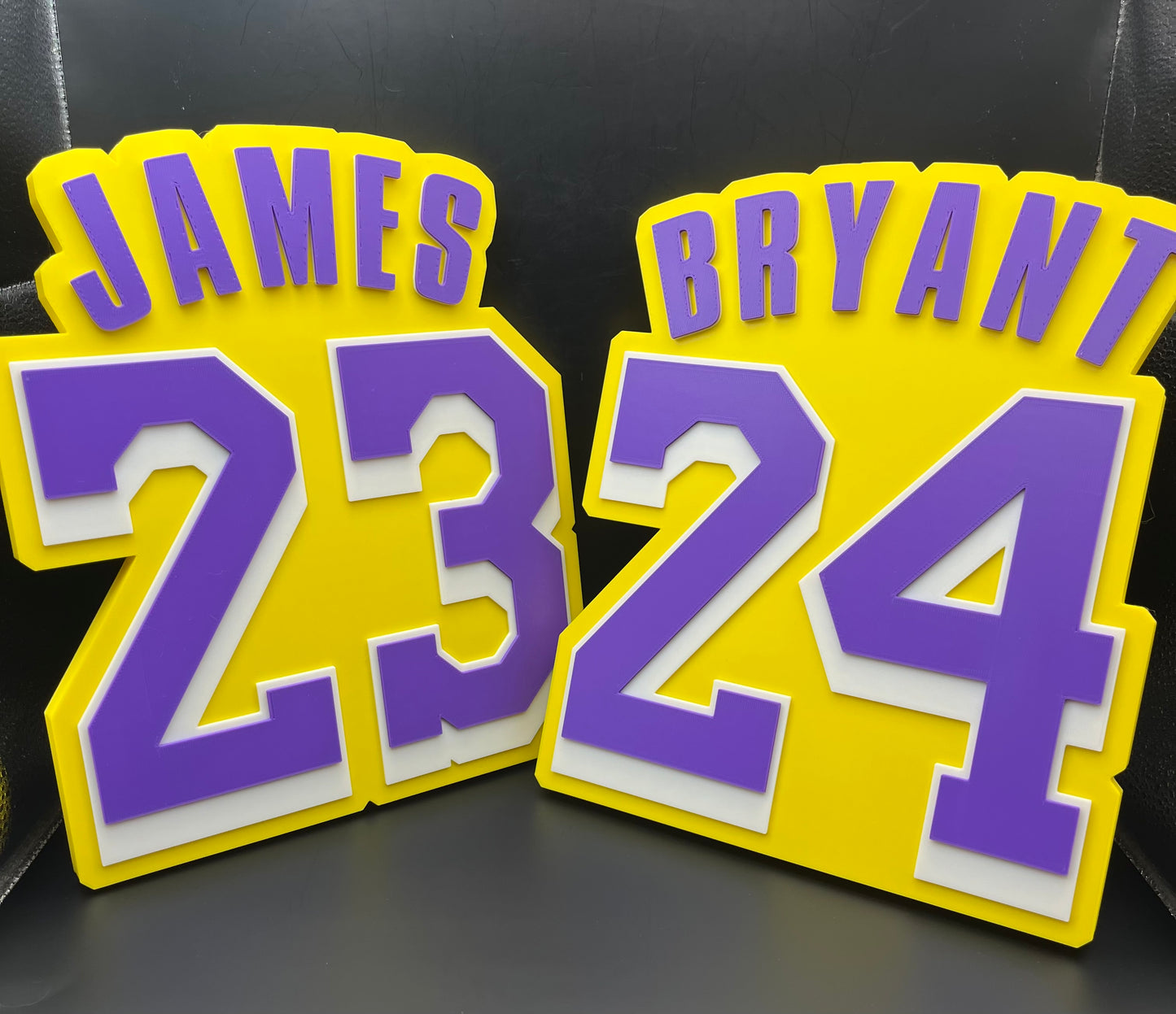 LeBron James 23 Logo Sign Display | 3D Wall Desk Shelf Art - UNRIVAL3D